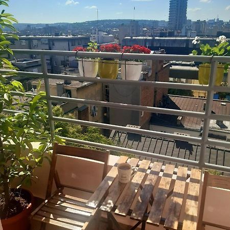 Bella Vita Apartment 贝尔格莱德 外观 照片
